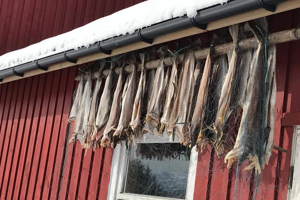 Willa Nordlandshus Ved Lofotr Bostad Zewnętrze zdjęcie